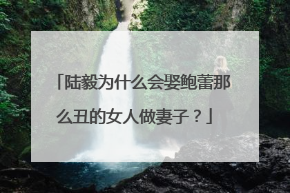 陆毅为什么会娶鲍蕾那么丑的女人做妻子?