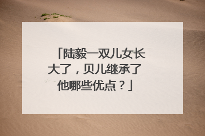 陆毅一双儿女长大了，贝儿继承了他哪些优点？