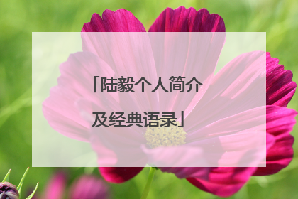 陆毅个人简介及经典语录