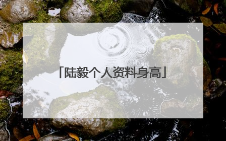 陆毅个人资料身高