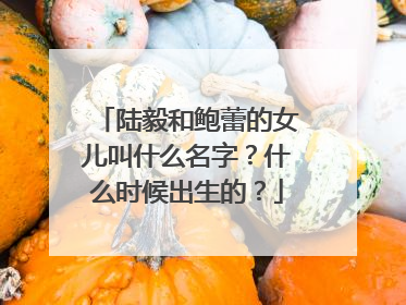 陆毅和鲍蕾的女儿叫什么名字？什么时候出生的？