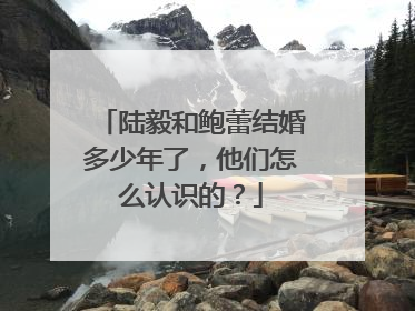 陆毅和鲍蕾结婚多少年了，他们怎么认识的？