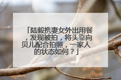 陆毅携妻女外出用餐，发现被拍，将头靠向贝儿配合拍照，一家人的状态如何？