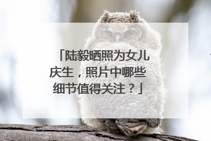 陆毅晒照为女儿庆生，照片中哪些细节值得关注？