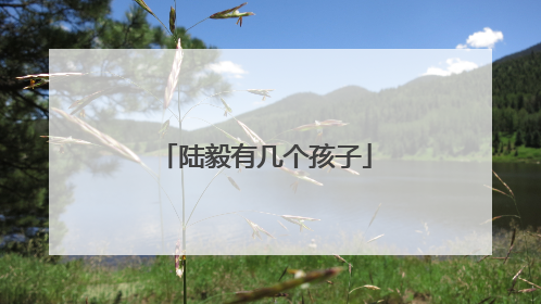 陆毅有几个孩子