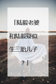 陆毅老婆和陆毅疑似生三胎儿子?