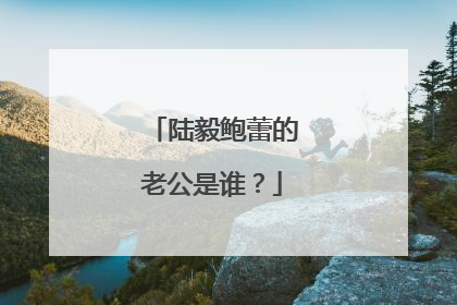 陆毅鲍蕾的老公是谁？