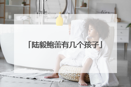 陆毅鲍蕾有几个孩子