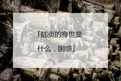 陆贞的身世是什么，困惑