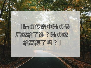 陆贞传奇中陆贞最后嫁给了谁?陆贞嫁给高湛了吗?