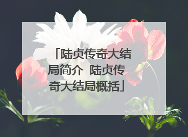 陆贞传奇大结局简介 陆贞传奇大结局概括