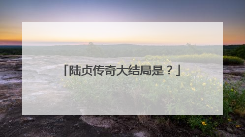 陆贞传奇大结局是？