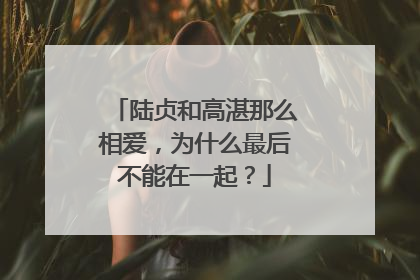 陆贞和高湛那么相爱，为什么最后不能在一起？
