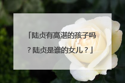 陆贞有高湛的孩子吗?陆贞是谁的女儿?