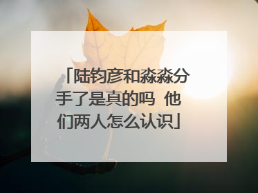 陆钧彦和淼淼分手了是真的吗 他们两人怎么认识