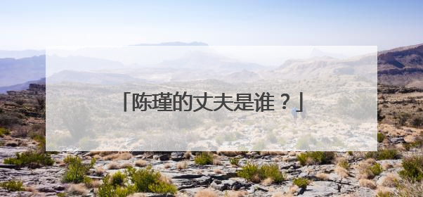 陈瑾的丈夫是谁？