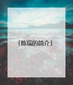 陈瑞的简介
