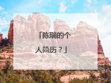 陈瑞的个人简历？