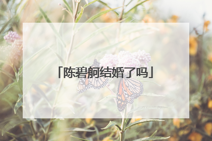 陈碧舸结婚了吗