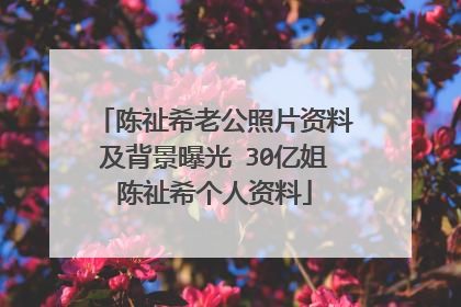 陈祉希老公照片资料及背景曝光 30亿姐陈祉希个人资料