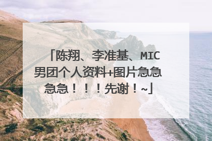 陈翔、李准基、MIC男团个人资料+图片急急急急!!!先谢!~