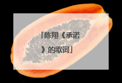 陈翔《承诺》的歌词