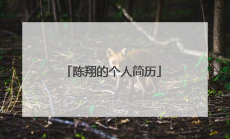 陈翔的个人简历