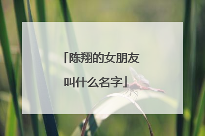 陈翔的女朋友叫什么名字