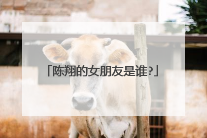 陈翔的女朋友是谁?