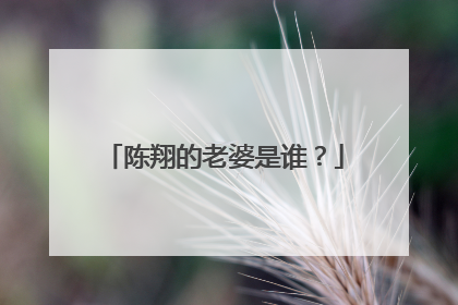 陈翔的老婆是谁?