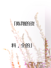 陈翔的资料，全的