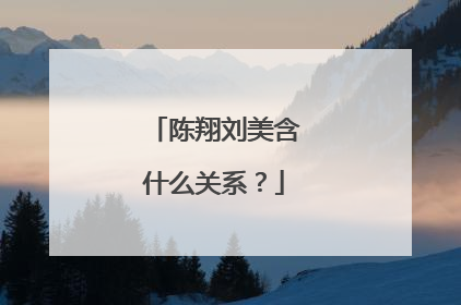 陈翔刘美含什么关系?