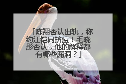 陈翔否认出轨，称约江铠同挤痘！毛晓彤否认，他的解释都有哪些漏洞？