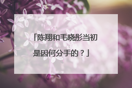 陈翔和毛晓彤当初是因何分手的?