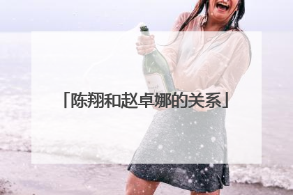 陈翔和赵卓娜的关系