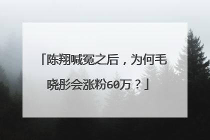 陈翔喊冤之后，为何毛晓彤会涨粉60万？