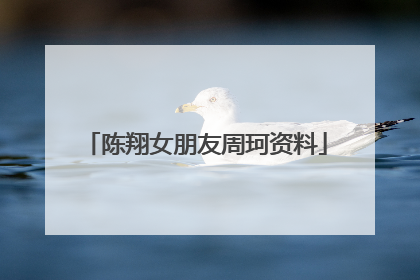 陈翔女朋友周珂资料