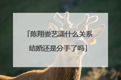 陈翔娄艺潇什么关系 结婚还是分手了吗