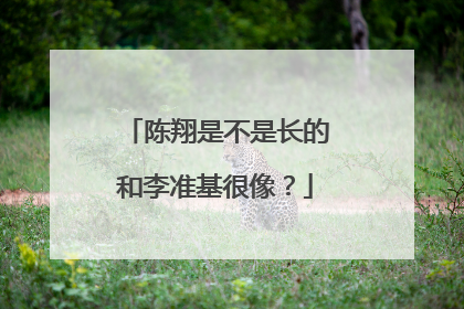 陈翔是不是长的和李准基很像？