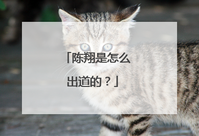 陈翔是怎么出道的?