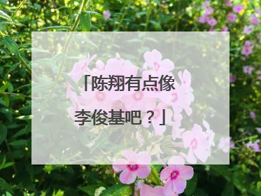 陈翔有点像李俊基吧?