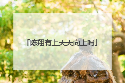 陈翔有上天天向上吗