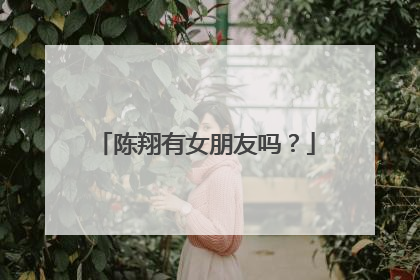 陈翔有女朋友吗？