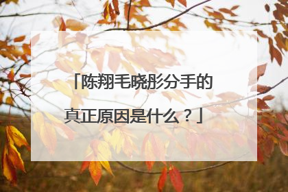 陈翔毛晓彤分手的真正原因是什么？