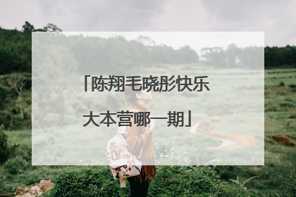 陈翔毛晓彤快乐大本营哪一期