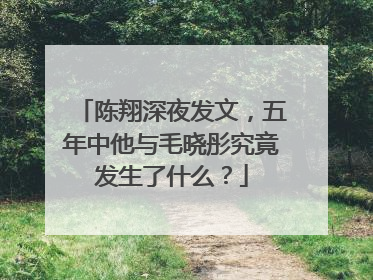 陈翔深夜发文,五年中他与毛晓彤究竟发生了什么?
