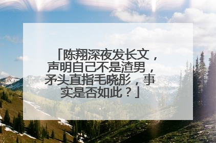 陈翔深夜发长文，声明自己不是渣男，矛头直指毛晓彤，事实是否如此？