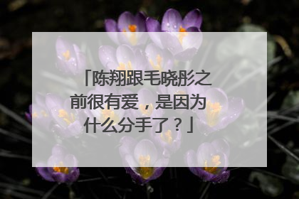 陈翔跟毛晓彤之前很有爱，是因为什么分手了？