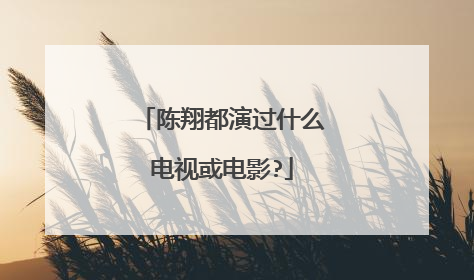 陈翔都演过什么电视或电影?