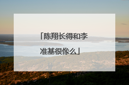 陈翔长得和李准基很像么